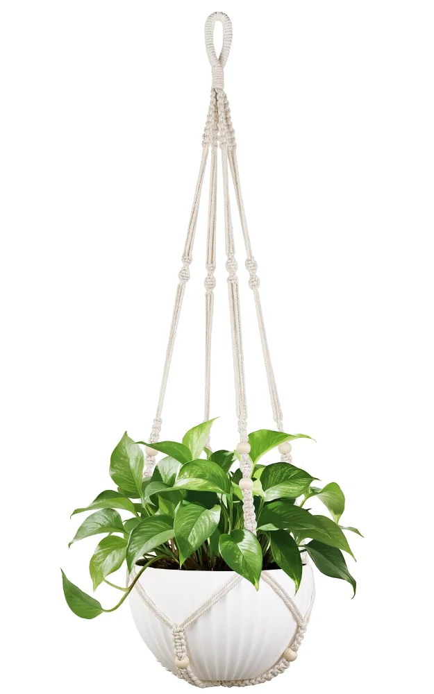 Macrame Plant Hanger, 43 in, Ivory