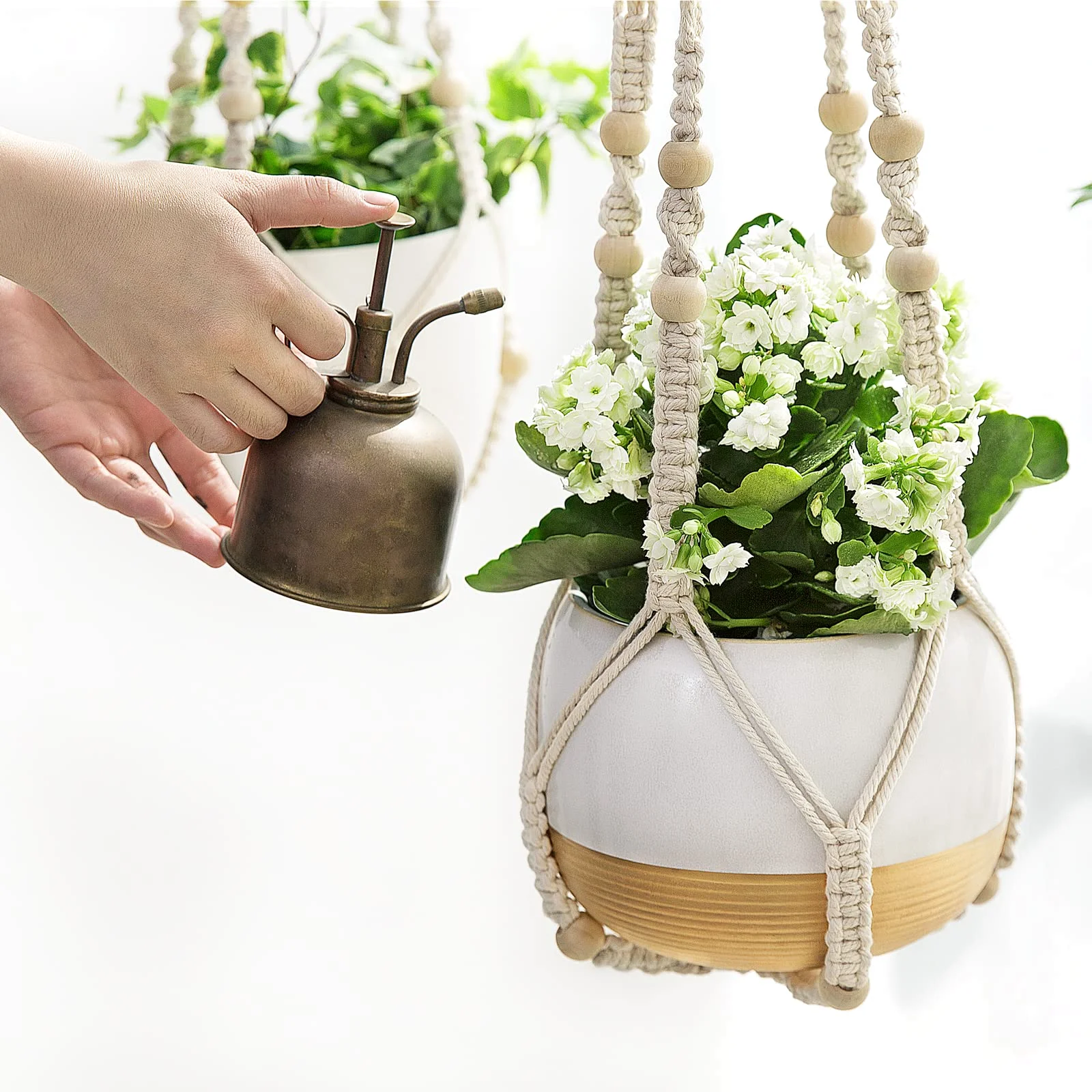 How to hang a plant you will actually water