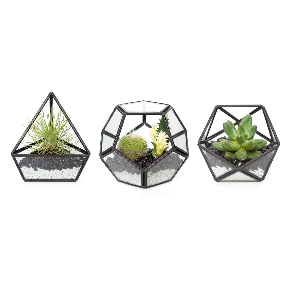Geometric Glass Terrarium, 4 in, 3-pack, Black