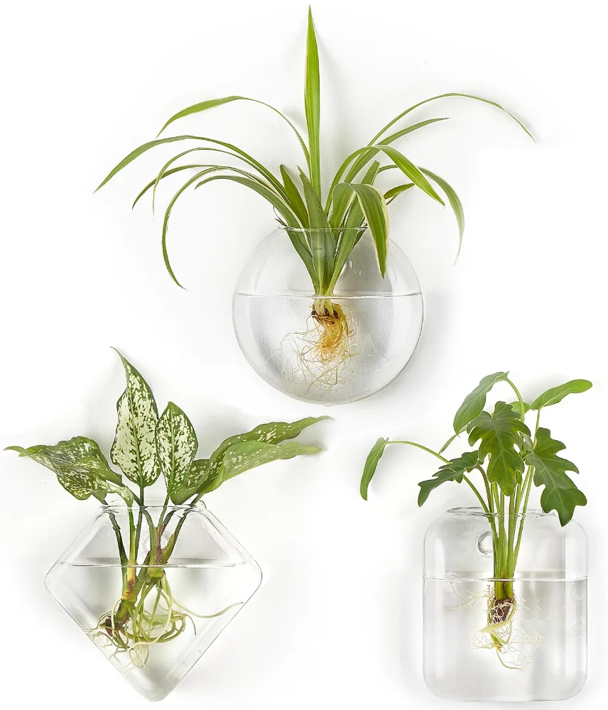 Wall Propagation Planter, 3-pack