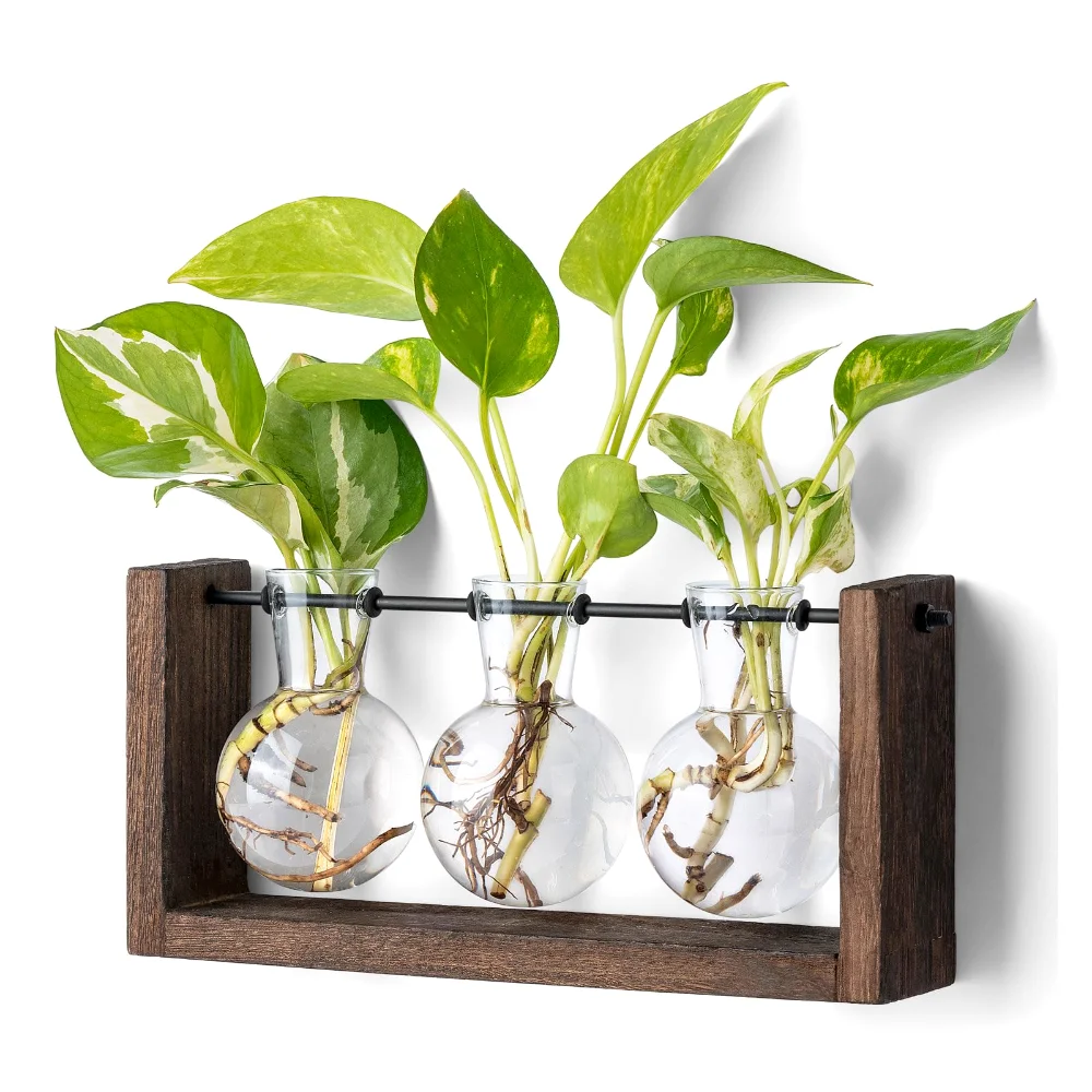Plant Propagation Station, 3 vases, Brown